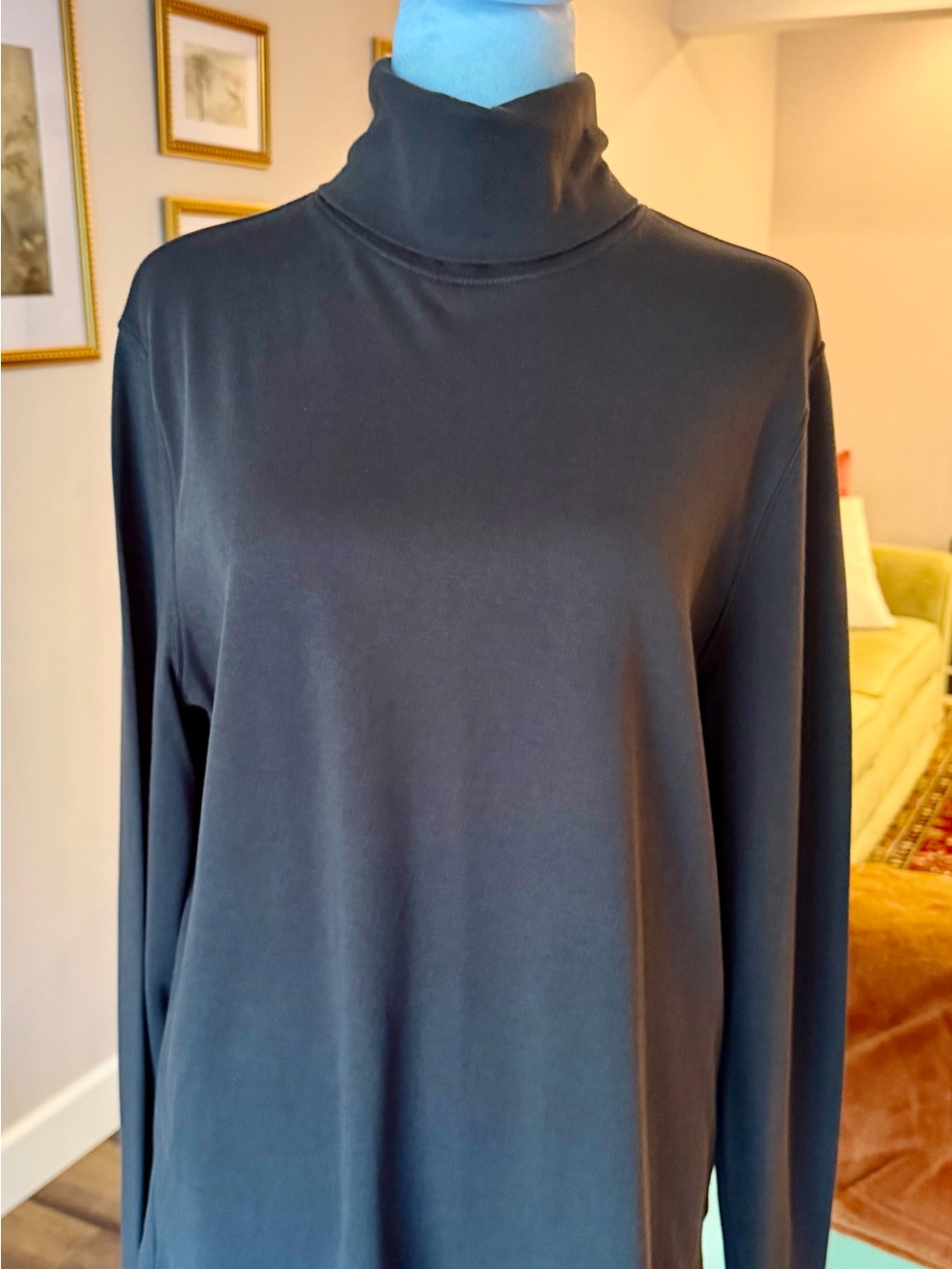 Classic Brown Turtleneck Long-Sleeve Top
